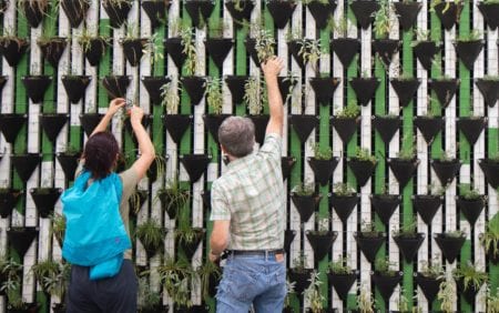 planting a green wall together in a socially conscious meeting. learn about this trend