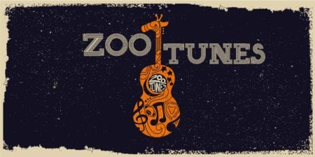 zoo tune live music concert event promotions