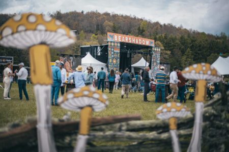 bear shadow mountain music festival eleven events